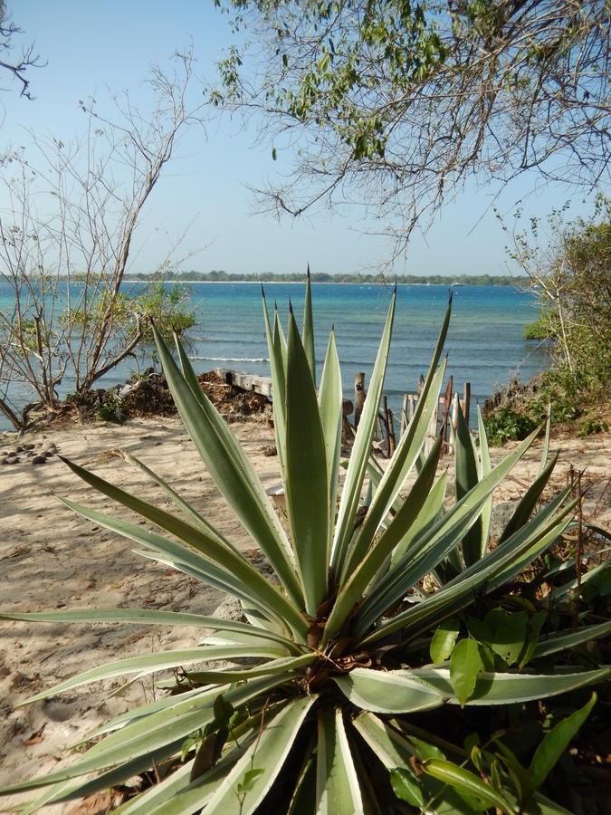 Blue Monkey Beach Cottages Shimoni Exterior foto